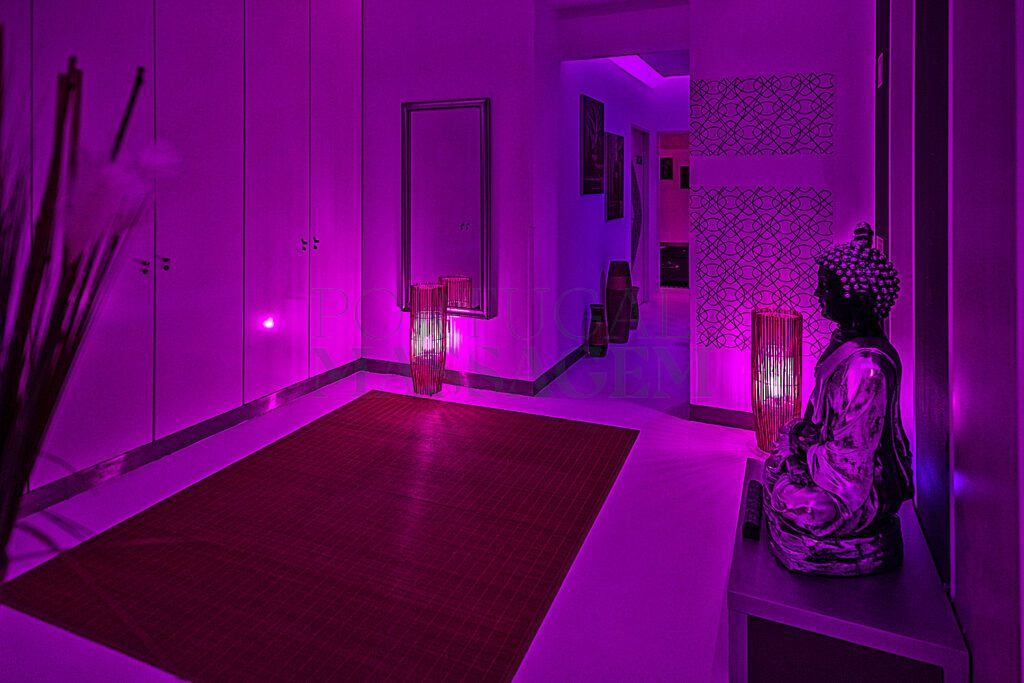 Paradise Hall Buda 1